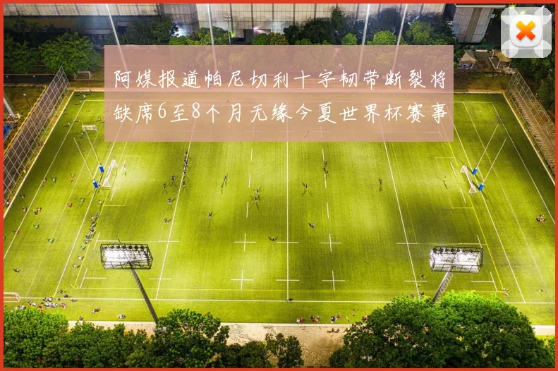 阿媒报道帕尼切利十字韧带断裂将缺席6至8个月无缘今夏世界杯赛事