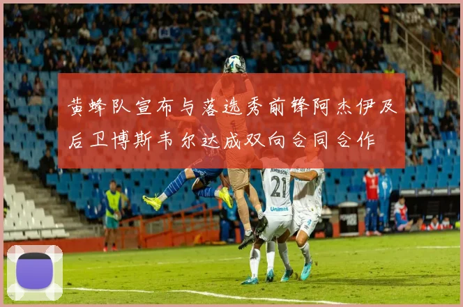 黄蜂队宣布与落选秀前锋阿杰伊及后卫博斯韦尔达成双向合同合作