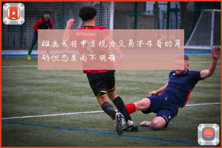 雄鹿或将申京视为交易字母哥的筹码但态度尚不明确